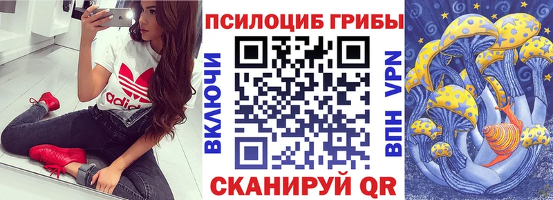 Купить  Североморск  Галлюциногенные грибы GOLDEN TEACHER 
